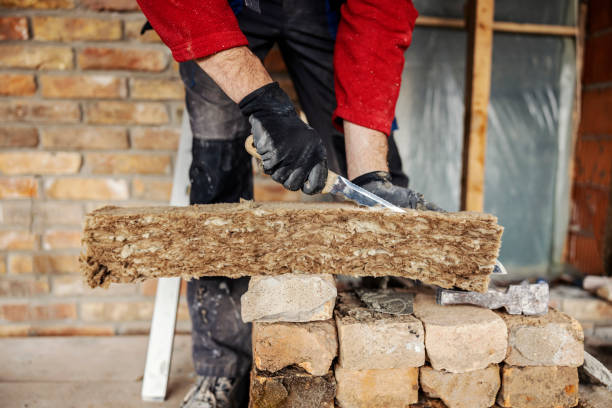 Best Insulation Repair Services  in Mesita, NM