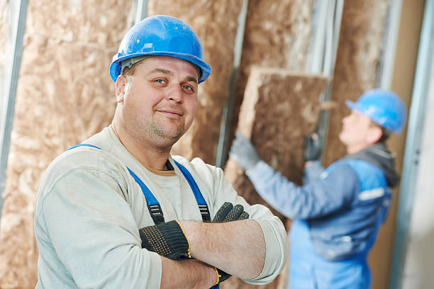 Best Fiberglass Insulation  in Mesita, NM