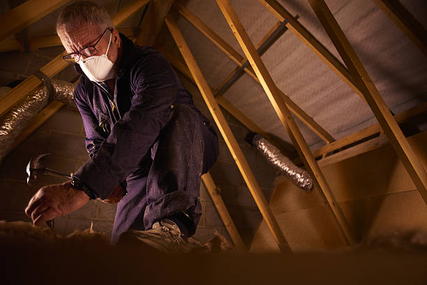 Best Attic Insulation Installation  in Mesita, NM